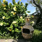 La Rosamarina