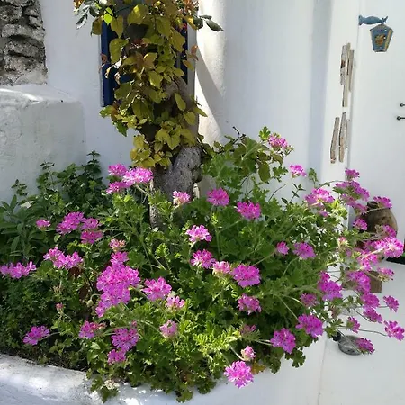 La Rosamarina Estrómboli