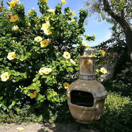 La Rosamarina