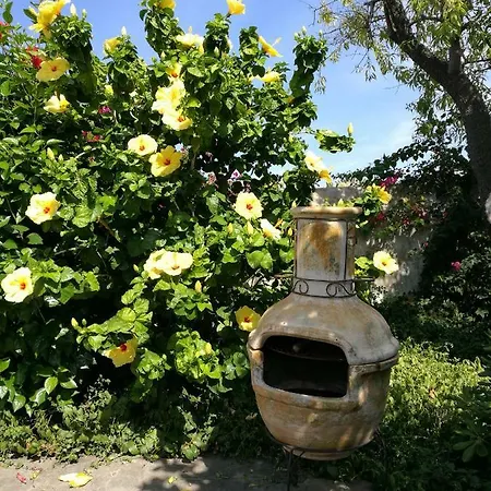 La Rosamarina