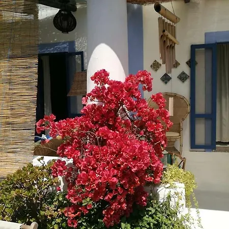 La Rosamarina Guest house Stromboli